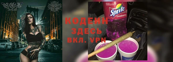 прущие грибы Абаза