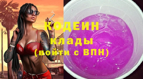 прущие грибы Абаза