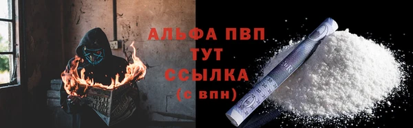 прущие грибы Абаза