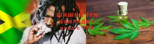 прущие грибы Абдулино