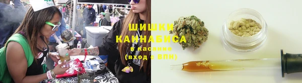 прущие грибы Абдулино