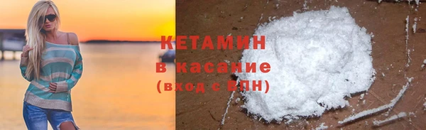 прущие грибы Абаза