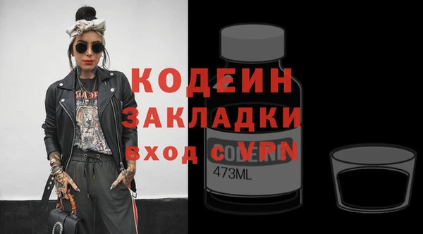 прущие грибы Абаза