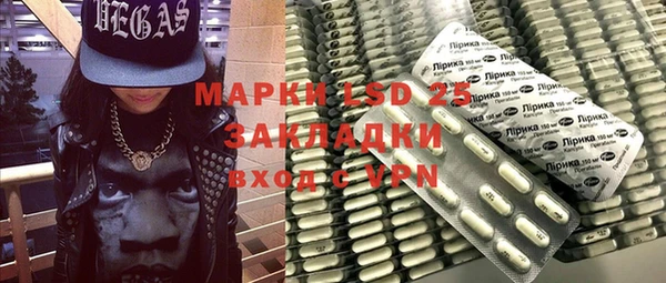 прущие грибы Абдулино
