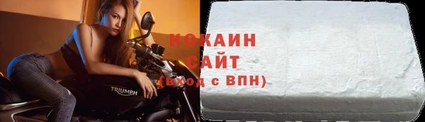 прущие грибы Абаза