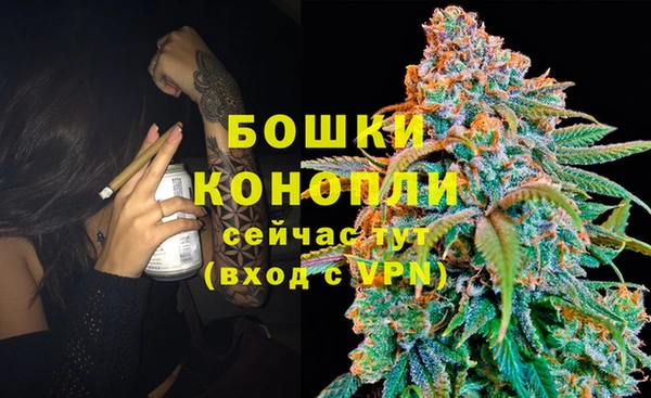 прущие грибы Абдулино