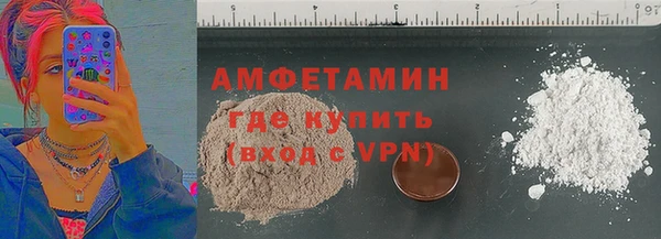 прущие грибы Абаза
