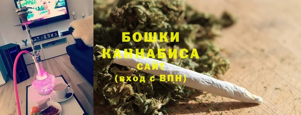 прущие грибы Абаза