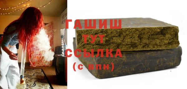 прущие грибы Абаза
