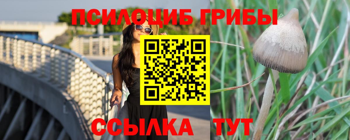 Псилоцибиновые грибы GOLDEN TEACHER Электросталь